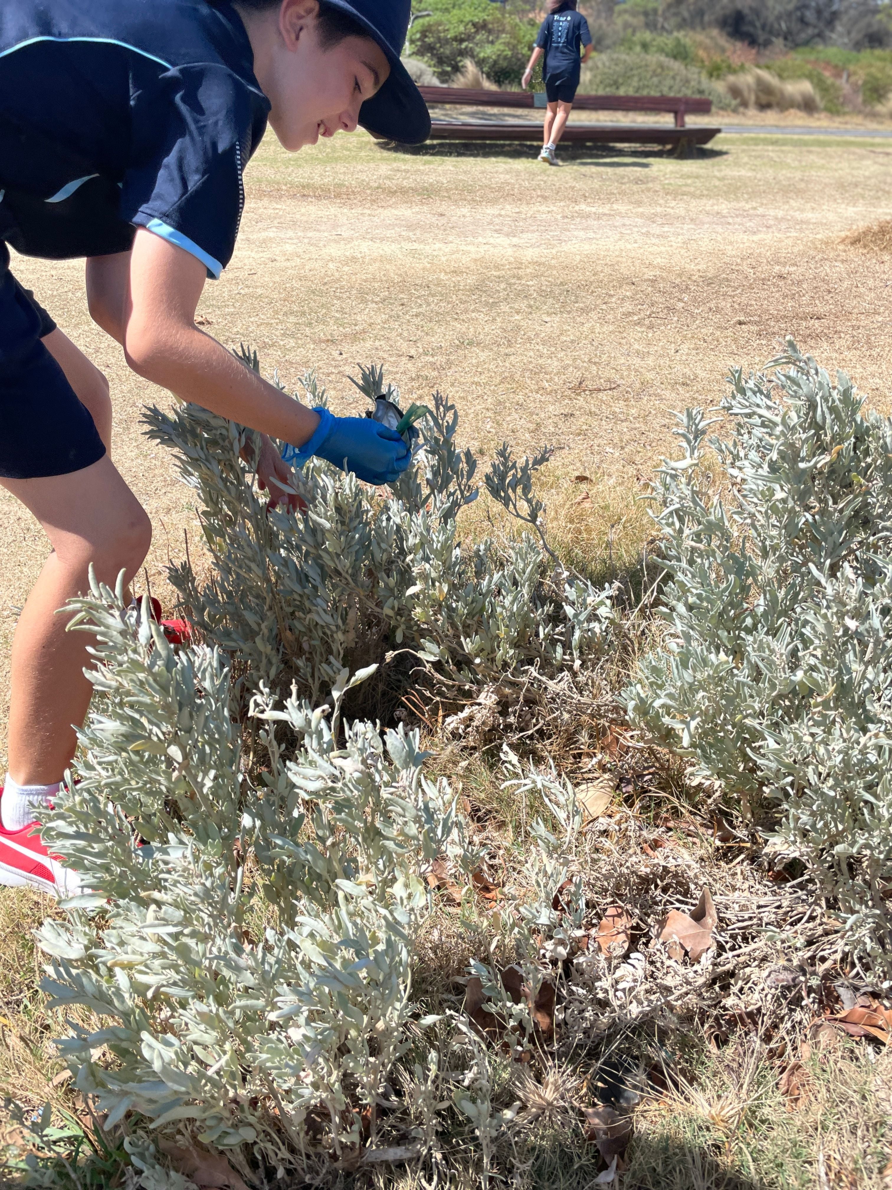 Clean Up Day Clean Up Day